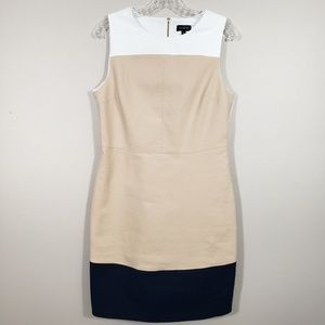 The Limited Color Block Career Dress Size 10